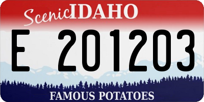 ID license plate E201203