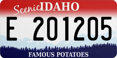 ID license plate E201205