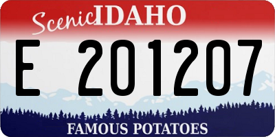 ID license plate E201207