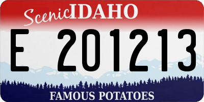 ID license plate E201213