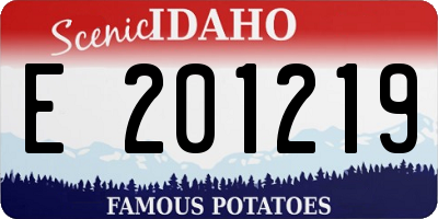 ID license plate E201219