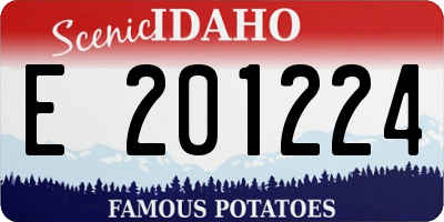 ID license plate E201224