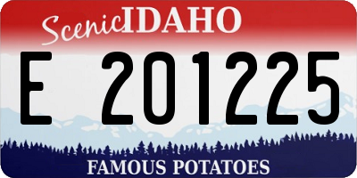 ID license plate E201225