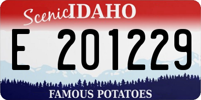ID license plate E201229