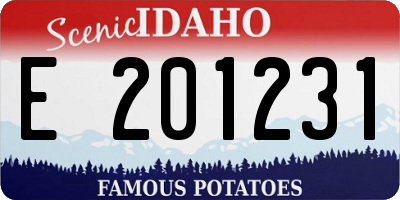 ID license plate E201231