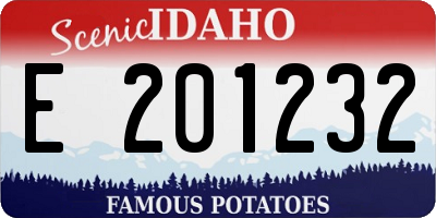 ID license plate E201232