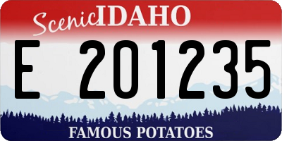 ID license plate E201235