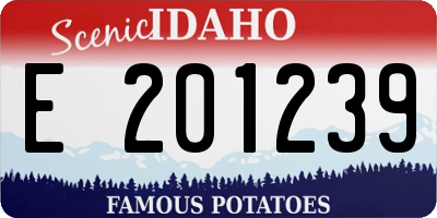 ID license plate E201239