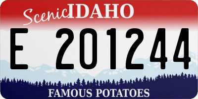ID license plate E201244