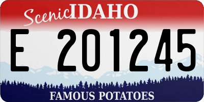 ID license plate E201245