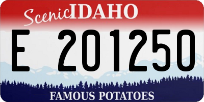 ID license plate E201250