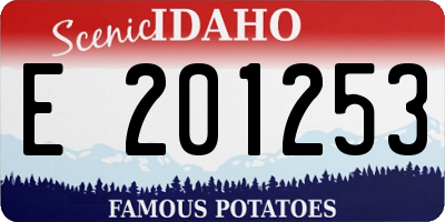 ID license plate E201253