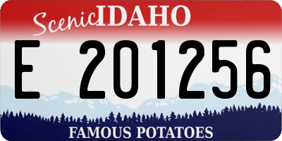 ID license plate E201256