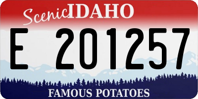 ID license plate E201257