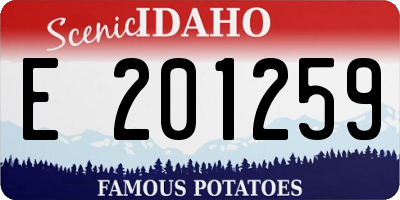 ID license plate E201259