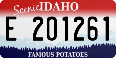 ID license plate E201261