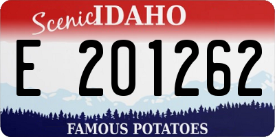 ID license plate E201262