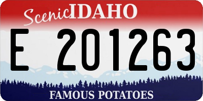 ID license plate E201263
