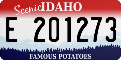 ID license plate E201273