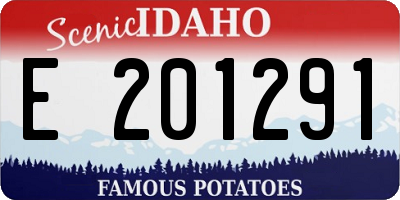 ID license plate E201291