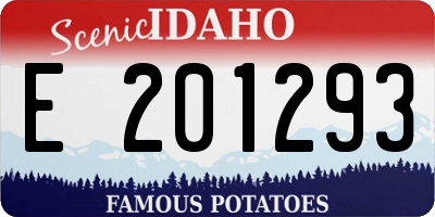 ID license plate E201293