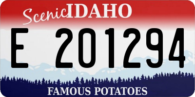 ID license plate E201294