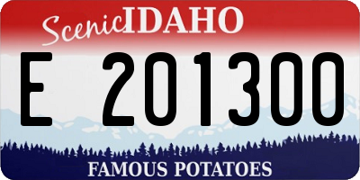 ID license plate E201300