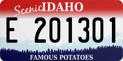 ID license plate E201301