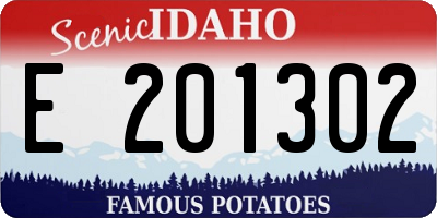 ID license plate E201302
