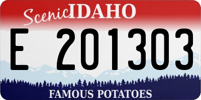 ID license plate E201303