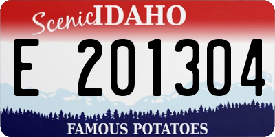 ID license plate E201304