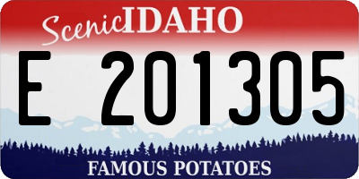ID license plate E201305