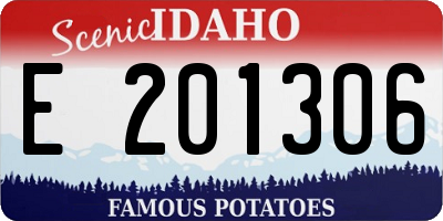 ID license plate E201306
