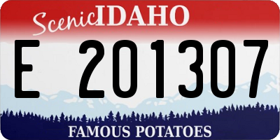 ID license plate E201307