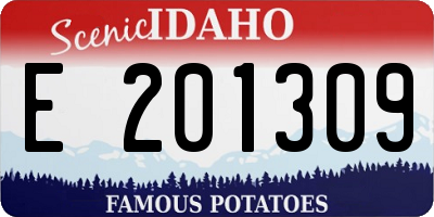ID license plate E201309