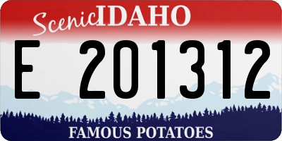 ID license plate E201312