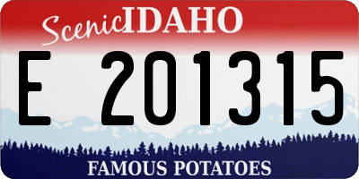 ID license plate E201315