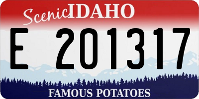 ID license plate E201317