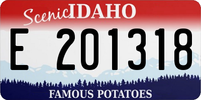ID license plate E201318