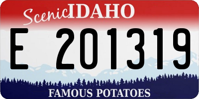 ID license plate E201319