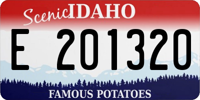 ID license plate E201320