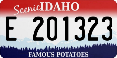 ID license plate E201323