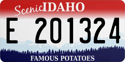ID license plate E201324