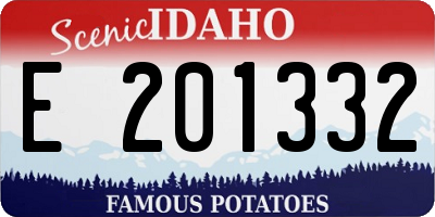 ID license plate E201332