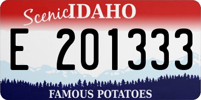 ID license plate E201333