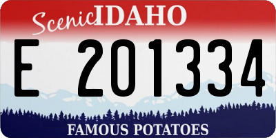 ID license plate E201334