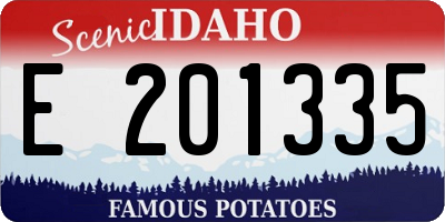 ID license plate E201335