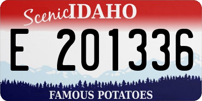 ID license plate E201336