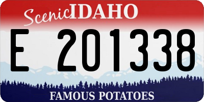 ID license plate E201338