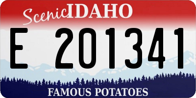ID license plate E201341
